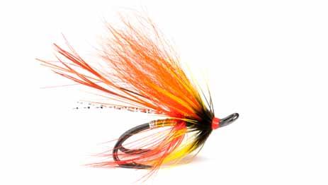 SALMON & STEELHEAD Singles continued Doubles nordic WET BARBLESS nordic down-eye double Nordic Up-Eye Double Nordic Tube Double SLD4/S Black Nickel / Straight-Eye Short-shank pattern combines the