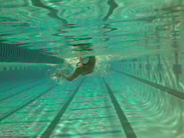 Backstroke Arm Stroke From a front view The arm is strongest