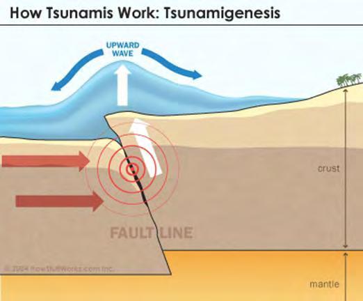 Tsunami Inundation Mapping for Hawke s Bay Frequently Asked Questions The frequently asked questions are grouped under headings to make it easier to find information - General tsunami information