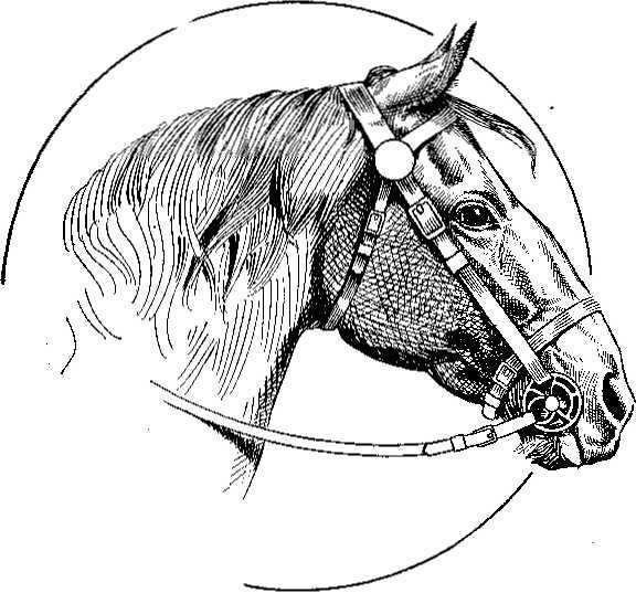 HOW TO THROW A HORSE To throw a horse properly, a strong halter made with a brow band and nose band that will not slip, a surcingle made with four rings fastened at top one on each side and two on