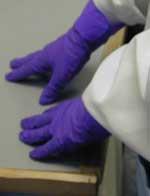 Coordinators, Principal Investigators, and Laboratory Supervisors to devise an appropriate PPE