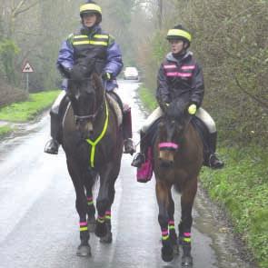 7. Safety for Horse Riders Introduction 7.1 Horse riding is a popular activity in Wales and an integral part of the economy especially in rural areas.