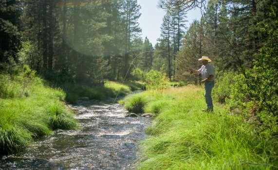 Introduction The 1,074 +/- acre Spring Creek Ranch is located in Northern California s scenic Lassen County. The ranch sits about 16 miles northeast of the small community of Adin, CA.