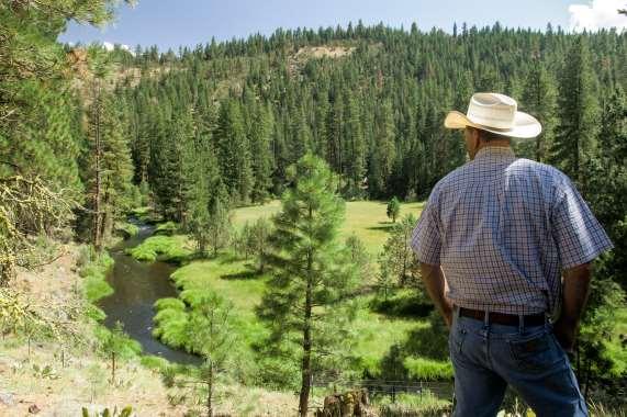 Wild Trout Stream Ash Creek is the heart of this ranch. It is a true spring ranch where 100% of the summer flow comes from the springs located in Ash Valley.