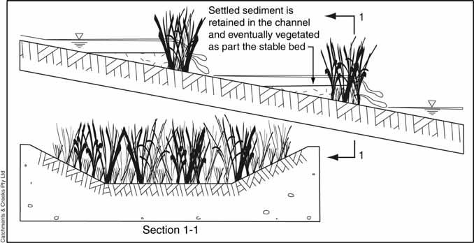 Stiff grass barriers: Stiff grass barriers (Figure 3) are typically used as a component of long-term gully stabilisation in rural areas.