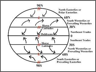 Trade winds From subtropical highs to equator Northeast trades in Northern Hemisphere Southeast trades in
