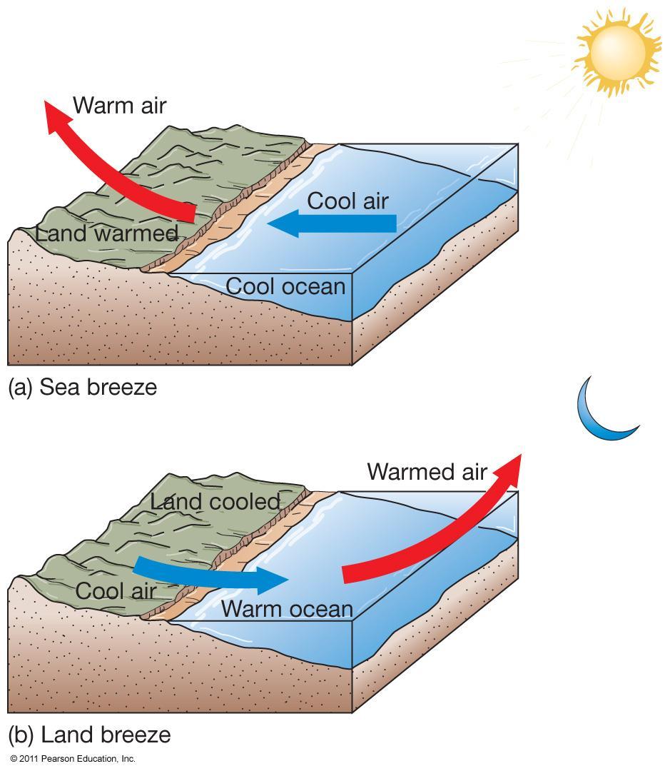 Sea and Land Breezes Differential solar heating is due to different heat