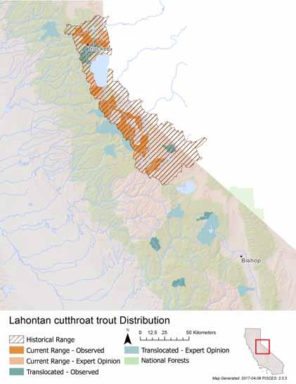 Estimated adult abundance 2 Most wild populations have significantly less than 1,000 fish each, with the lacustrine habitats and Upper Truckee River as the exceptions.