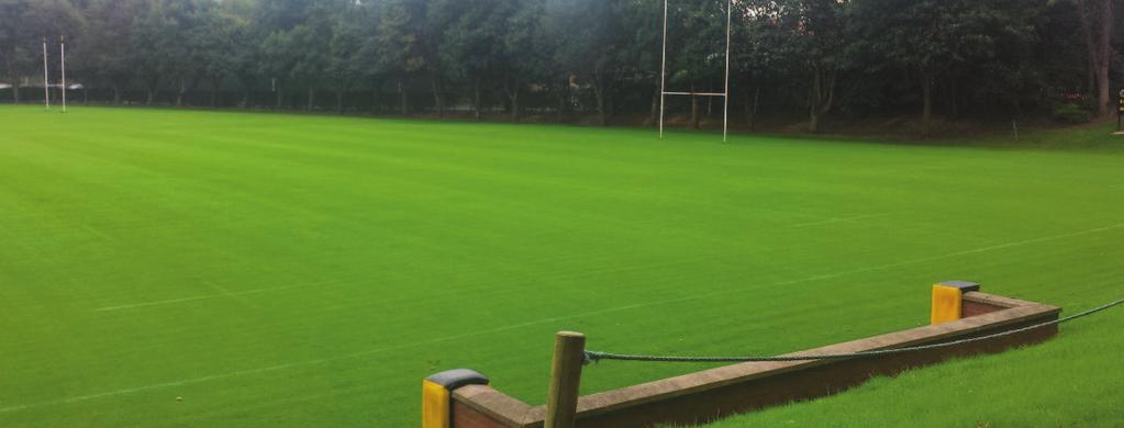 Sports fields and race courses ProSeed Rapid Repair ProSeed Rapid Repair ProSeed Rapid Repair is a 100% Rye turf seed mixture with a quick start (germination) and burst of speed (establishment).