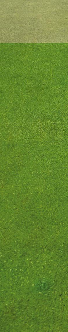 Golf and bowling greens ProSeed PG ProSeed PG ProSeed PG is a traditional 80/20 blend for seeding and overseeding greens.