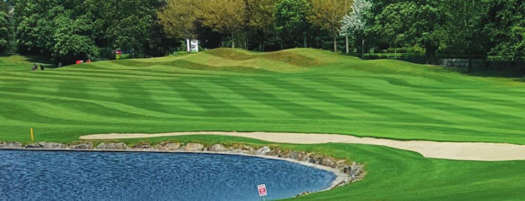 Greens, tees, fairways and outfields ProSeed RF ProSeed RF is a blend of fine leaved ryegrasses and fine fescues which gives a very versatile mixture for use on many areas including Sports Pitches,