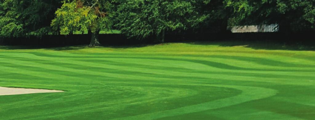 Greens, tees, fairways and outfields ProSeed Golf Rye Mix ProSeed Golf Rye is a special seed blend incorporating 2 CSI cultivars, which spread via reproductive tillers, as well as 2 high quality