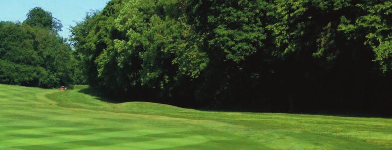 Greens, tees, fairways and outfields ProSeed Rapid Repair ProSeed Rapid Repair is a 100% Rye turf seed mixture with a quick start (germination) and burst of speed (establishment).