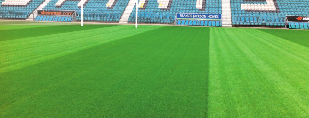 Sports fields and race courses ProSeed Stadium ProSeed Stadium ProSeed Stadium is a 100% Perennial turf seed mixture which is ideally suited to all winter sports playing surfaces.