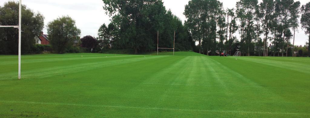 Sports fields and race courses ProSeed S1 ProSeed S1 ProSeed S1 is a 100% Perennial Rye turf seed mixture.
