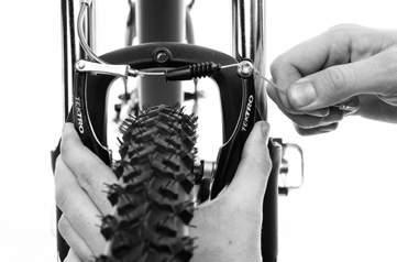 ADJUSTING YOUR BRAKES TYPE OF BRAKES INSTALLING THE SADDLE AND SEAT POST ALIGINING THE SEATPOST Your bike will come with one of two types of brakes: V BRAKES or CALIPER