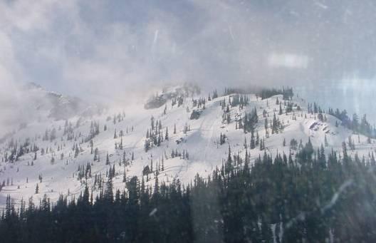 Looking from South toward natural avalanche about 75' looker's right of accident site,