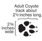 In December 2013, Oregon s wolf population consisted of a minimum of 64 wolves, including 8 packs in northeastern Oregon.