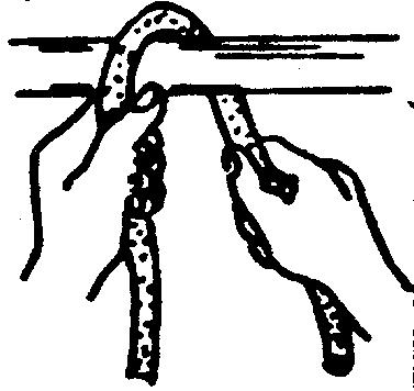 Knots and hitches are shown tied loosely to demonstrate the proper