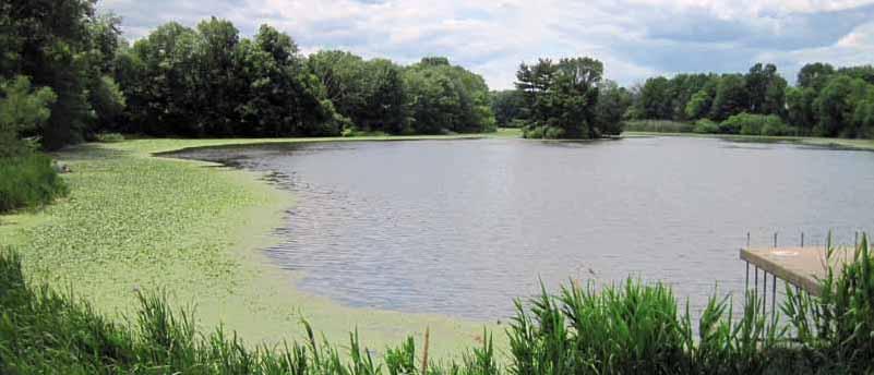 invasive ALERT PROTECT NEW JERSEY S WATERS Shawn Crouse, Principal Fisheries Biologist Baldwin Lake, County In last year s Freshwater Fishing Digest, New Jersey Division of Fish and Wildlife