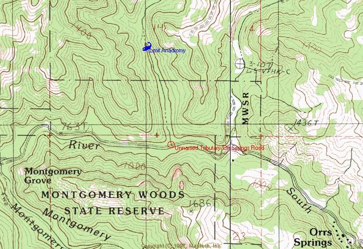 Site #17: Unnamed tributary/orr Springs Road; S.Fk. Big River; Big River Ranking: #10 = Moderate Priority Location: County Map #3G. T18N, R14W, Section 23.