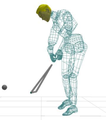 A Comparison of Swing Kinematics in Male and