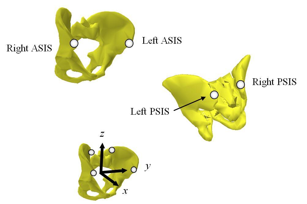 Development and refinement of methods Figure 3.4 The four pelvis markers used in this project and the axes of the pelvis coordinate system derived from the four markers.