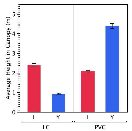 66 In L. catta, average height in the canopy during locomotion is lower in yearlings (0.93 m) than transitional infants (2.4 m) (Figure 3.17). In P. v.