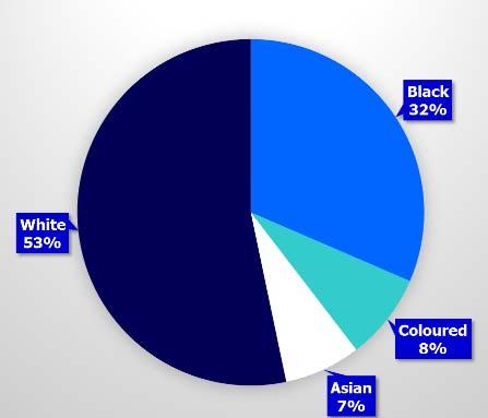 Coloured 8% Asian 7% White 84% Profile of Professional