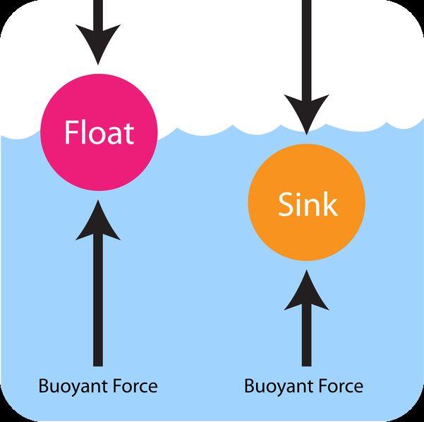 1. Buoyancy Who is