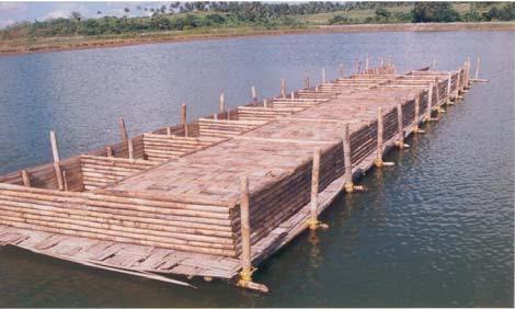 4.4.Pen culture in mangrove areas: The pens could be constructed using the locally available bamboo splits or arecanut logs or cane. These strips should be driven 1-1.