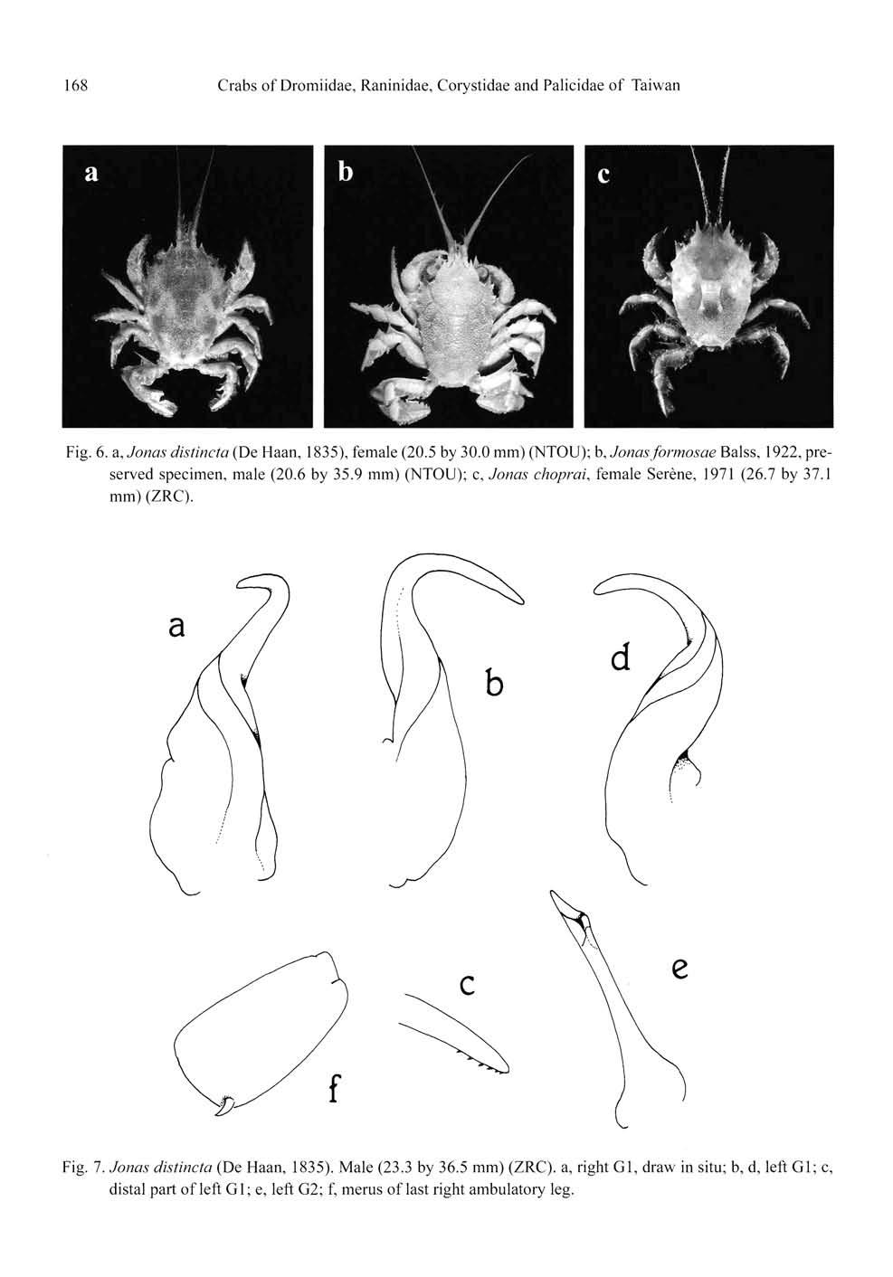 168 Crabs of Dromiidae, Raninidae, Corystidae and Palicidae of Taiwan Fig. 6. a, Jonas distincta (De Haan, 1835), female (20.5 by 30.