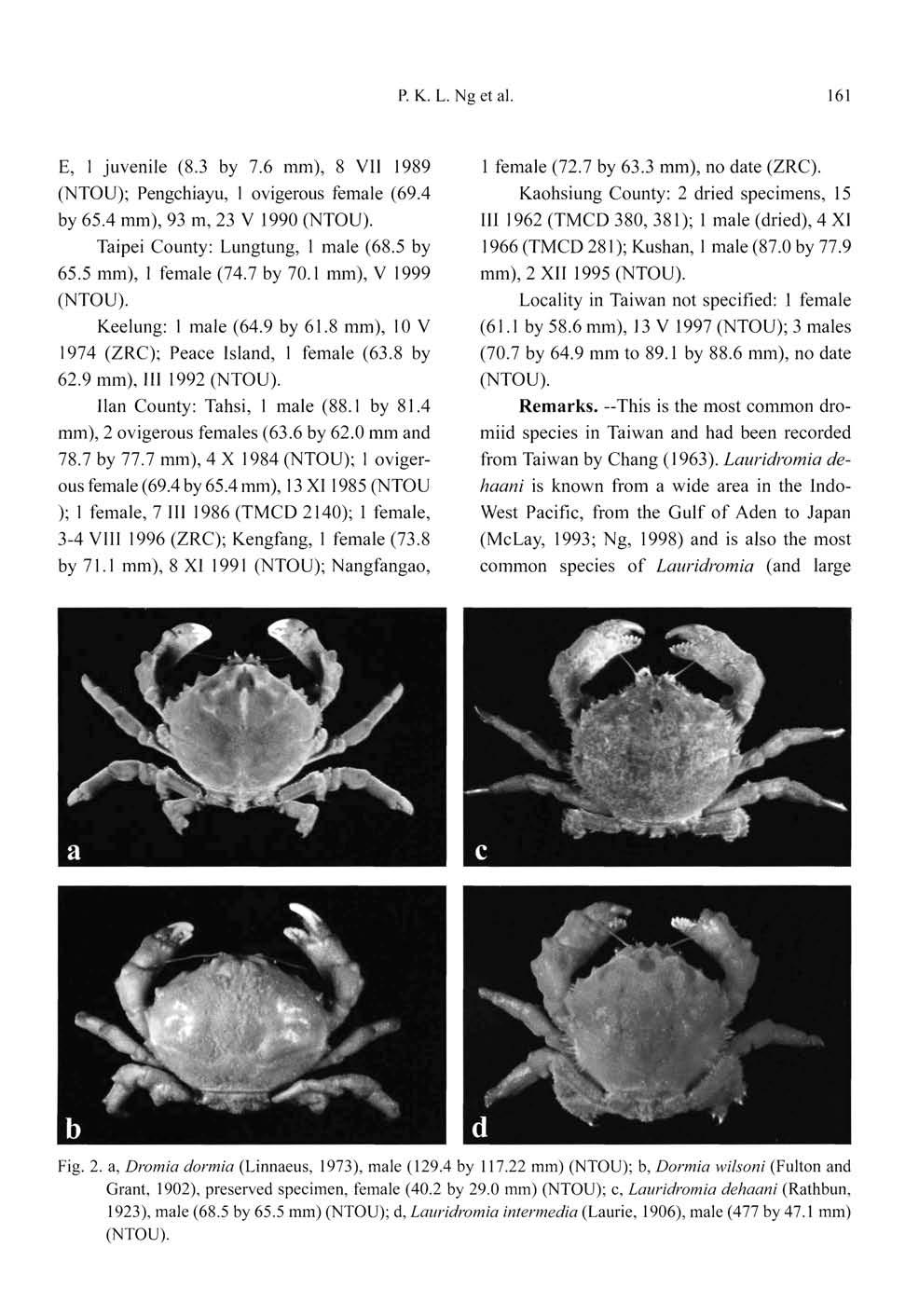 p. K. L. Ng et al. 161 E, 1 juvenile (8.3 by 7.6 mm), 8 VU 1989 (NTOU); Pengchiayu, 1 ovigerous female (69.4 by 65.4 mm), 93 m, 23 V 1990 (NTOU). Taipei County: Lungtung, 1 male (68.5 by 65.