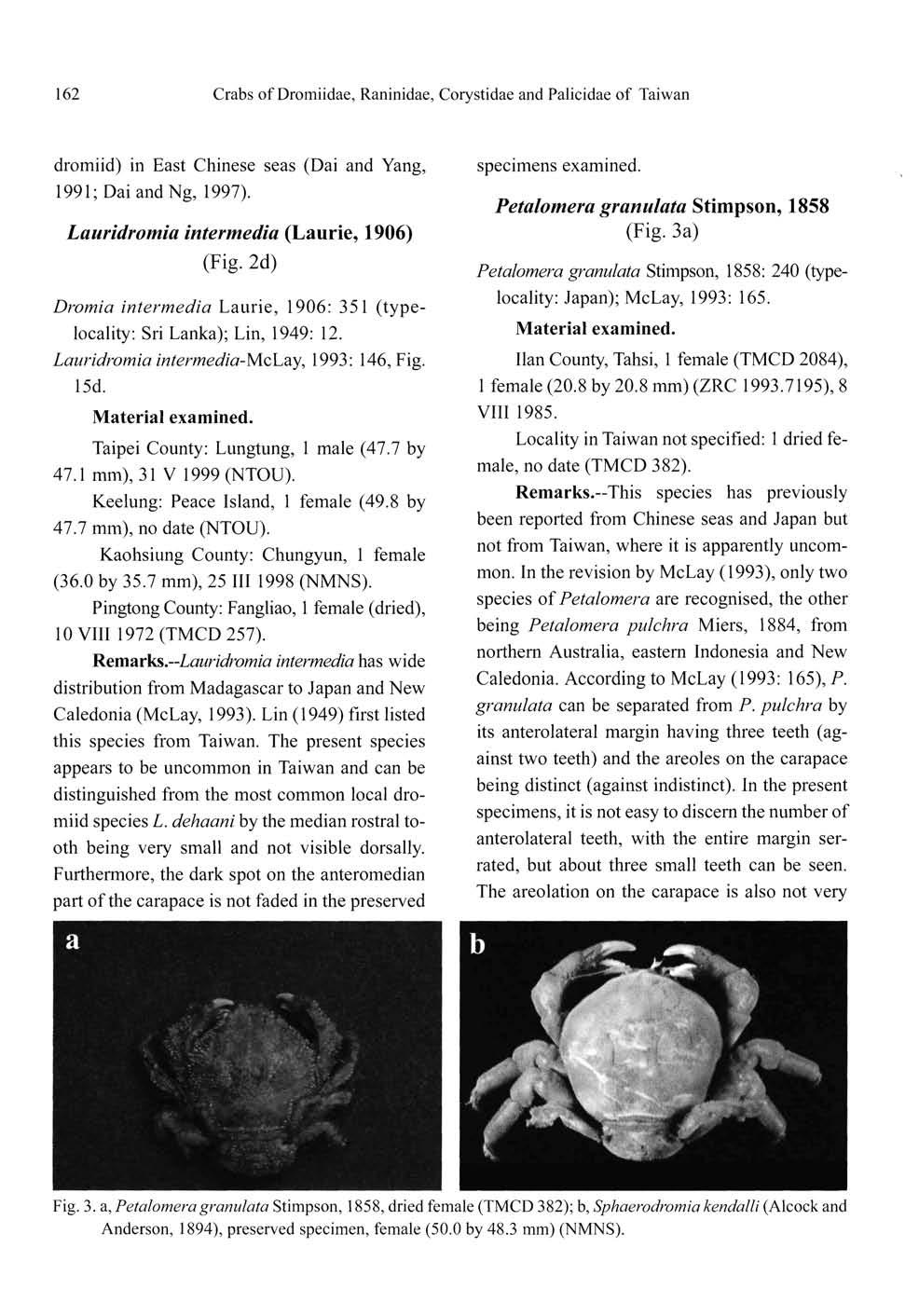 162 Crabs of Dromiidae, Raninidae, Corystidae and Palicidae of Taiwan dromiid) in East Chinese seas (Dai and Yang, 1991; Dai and Ng, 1997). Lauridromia intermedia (Laurie, 1906) (Fig.