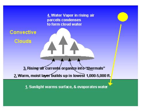1. Convective: formed when a land mass is heated and the warmed air begins to rise, expand,
