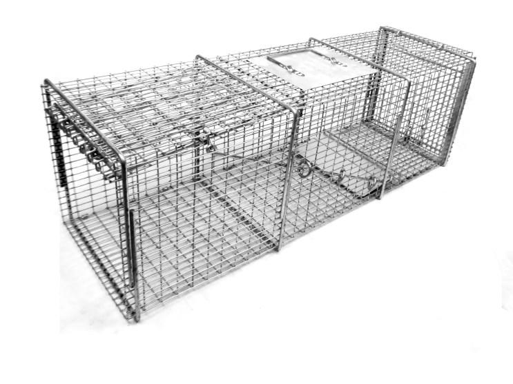 It s an all around trap that can be used for raccoon, woodchucks, opossum, cats, rabbits and many more similar sized animals.