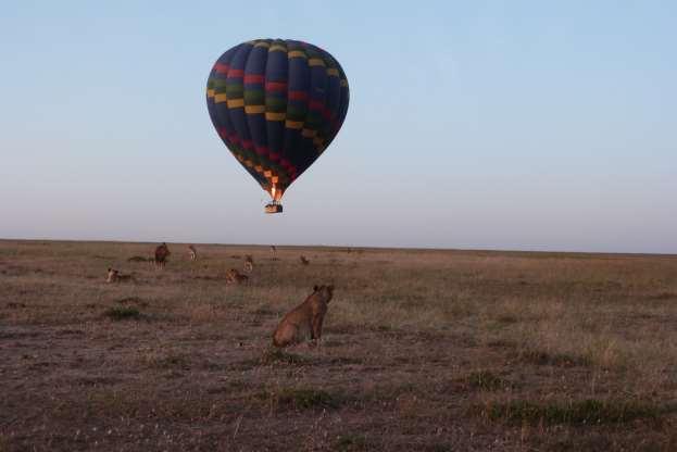 DAY 8 NOV 6 TH MASAI MARA Rise early today. As the cool, fresh air fills your lungs you ll feel invigorated and rejuvenated, ready for a great day on safari.