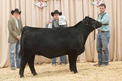 8 LeDoux Ranch Pick 2015 NILE GRAND CHAMPION BALANCER FEMALE LeDoux Ranch of Agenda, Kansas are breeders of Balancer cattle that fit the future demands of the beef industry.