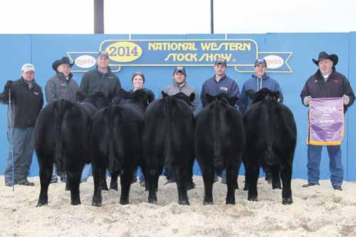 Bar Arrow Cattle Co Pick lot 9 2014 NATIONAL CHAMPION PEN OF FIVE BULL Bar Arrow Cattle Company has more than 25 years dedication to the Gelbvieh breed and junior Gelbvieh programs.