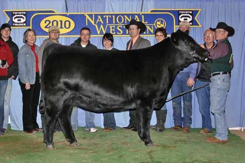 RTRT Darci 506C 11 RTRT DARCI 189U, 2010 RESERVE NATIONAL CHAMPION FEMALE AND FULL SISTER TO THE DAM OF LOT 11 The word complete most accurately describes RTRT Darci 506C.