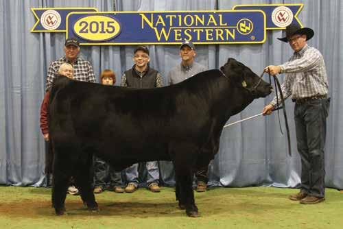 1 2016 Breeder s Choice Bull Futurity Champion 2015 BREEDER S CHOICE GELBVIEH BULL FUTURITY CHAMPION Selling full possession and 50% semen interest The winner of the 19th Annual Breeder s Choice