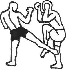borcev. Glavni cilji za udarjanje s kolenom so glava, trup nasprotnika in njegova stegna.