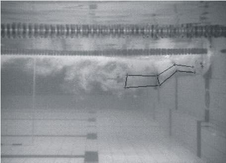 Rejman and Borowska 71 Table 3. Specification and description of the parameters of the body segments mutual displacement in fin swimming turn technique, recorded and analyzed during the research.