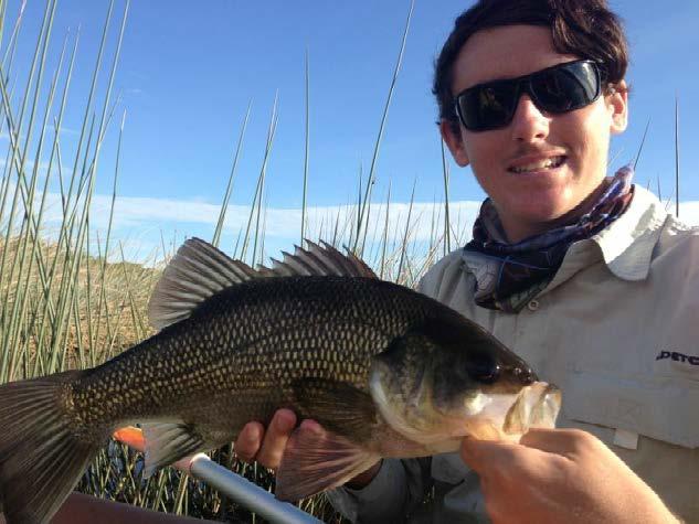 Jack amongst the reeds with a quality Ewen Maddock bass.