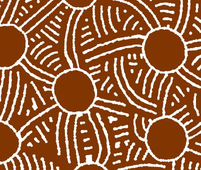 Aboriginal and Torres Strait Islander communities are central to this vision.