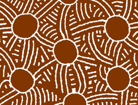 However we recognise that the development of a Reconciliation Action Plan (RAP) is an important endeavour as it formalises our commitment to Aboriginal and Torres Strait Islander communities and