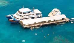 30pm Ferry transfer to Cairns Code FI3 2 Day 1 Night Island & Outer Reef Package: DAY 1 DAY 2 Room type Single Twin Triple Quad Resort Studio 526 416 - - Ocean Suite $646 $476 $434 33 $413 50 Ocean