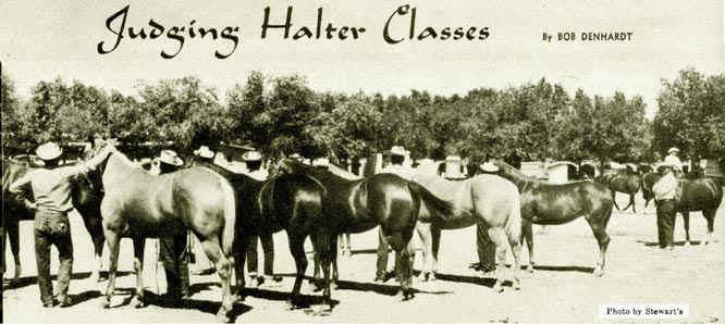 Hippology Provide participants with the opportunity to blend knowledge and skills acquired in horse judging, bowl,