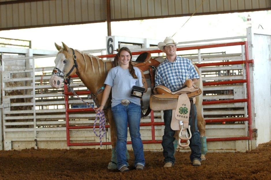 4-H Horse Shows