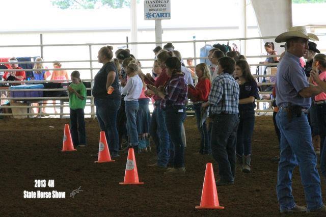 Horse Judging Teaches participants good conformation (structural correctness, balance, and muscling), breed character, and
